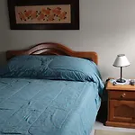 Cozy Nest