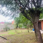 Casa Martinez