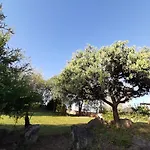 Mediterranea Casa Vacanza