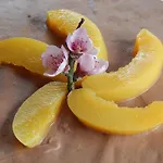 Morada La Silvestre Cabañas