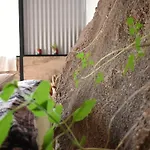 Bella Vista