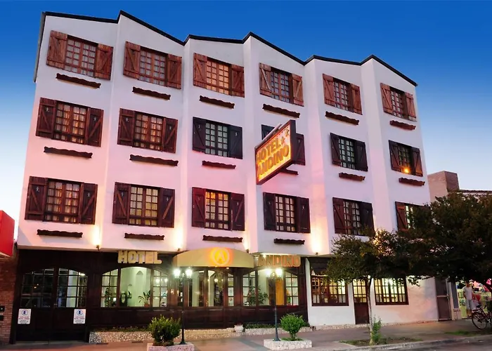 Hotel Andino