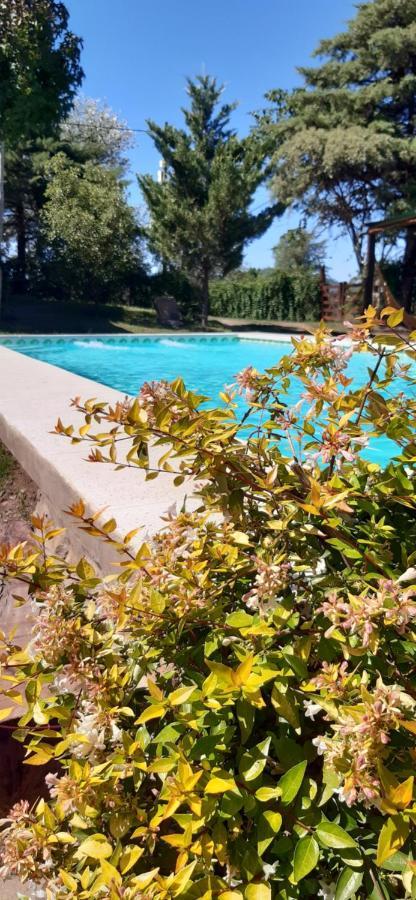 Farah Vieja Ideal 2 * Villa Carlos Paz