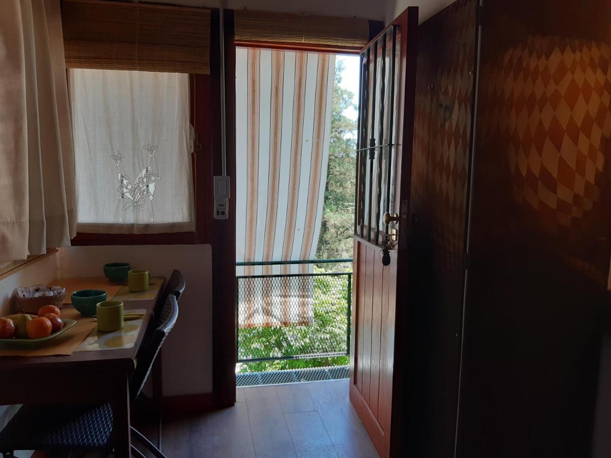 Сasa de vacaciones Farah Vieja Ideal 2