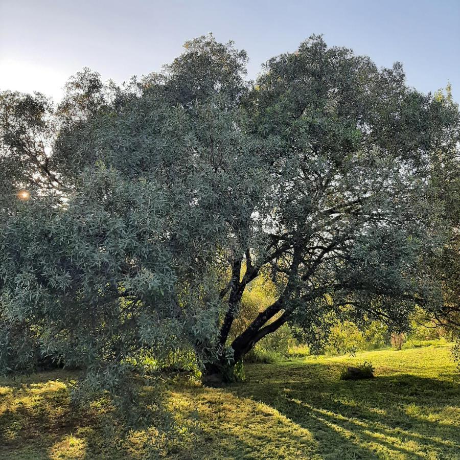 Сasa de vacaciones Mediterranea Casa