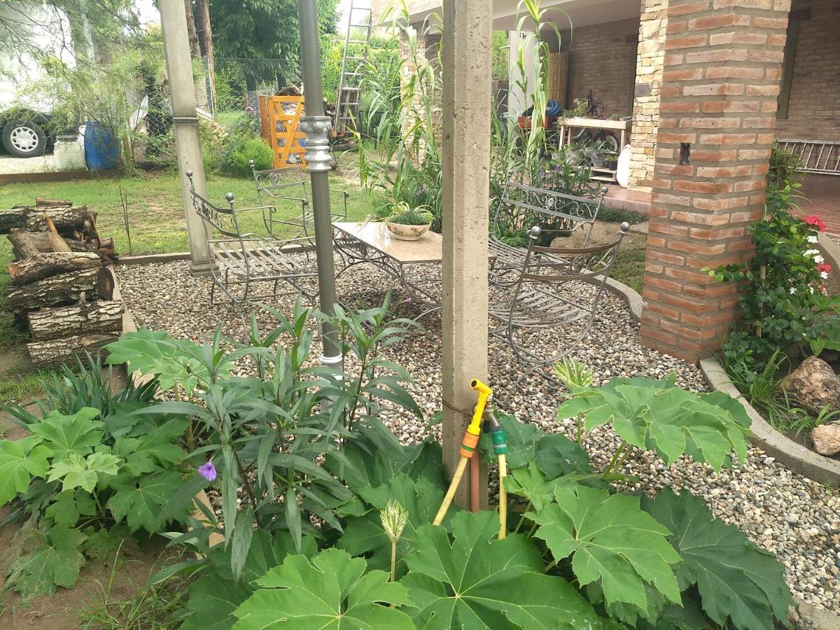 Algarrobos Apartamento