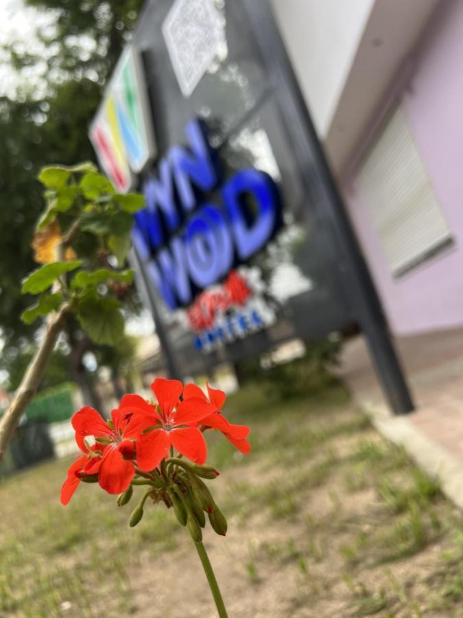 Wynwood Extreme