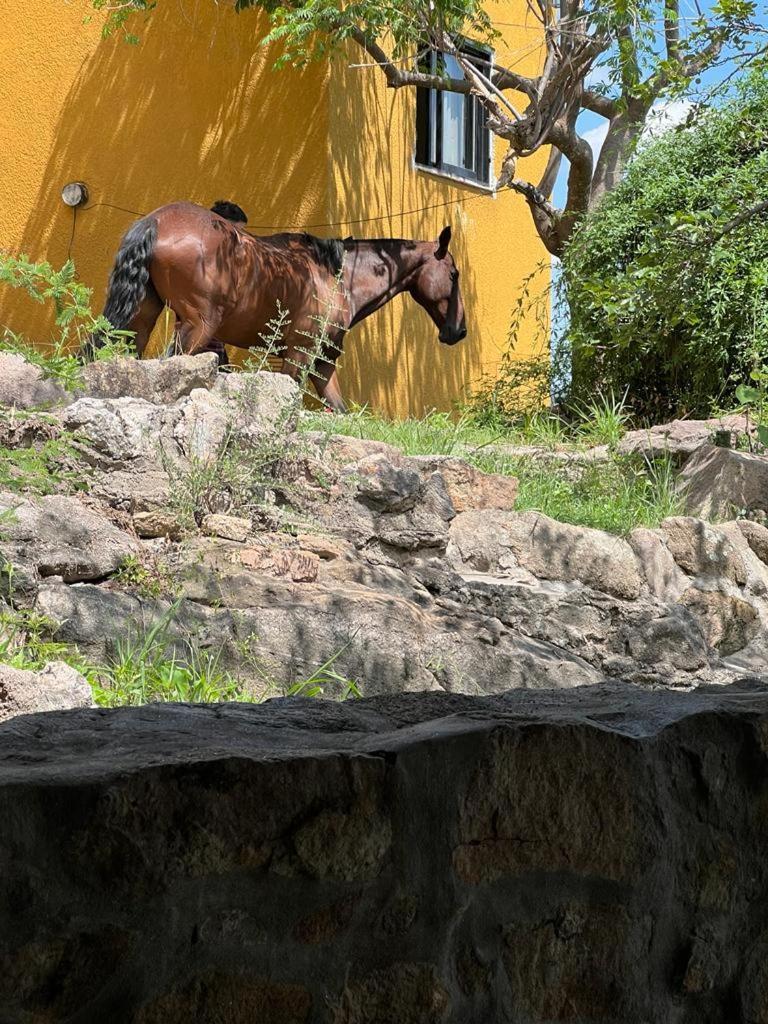Сasa de vacaciones Terrazas Del Sol Villa Carlos Paz