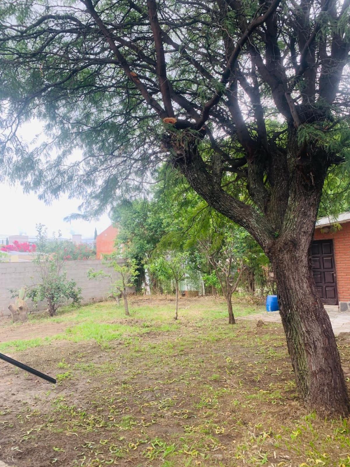 Casa Martinez