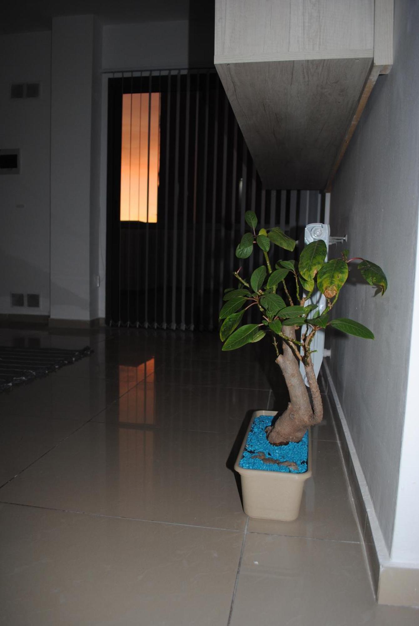 Amazing Boutique Vcp Apartamento Villa Carlos Paz