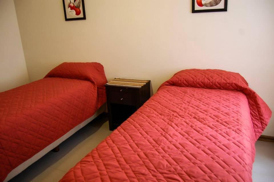 Departamento, Terraza Con Piscina, Sum Y Parrillas A 2 Cuadras De Peatonal *
