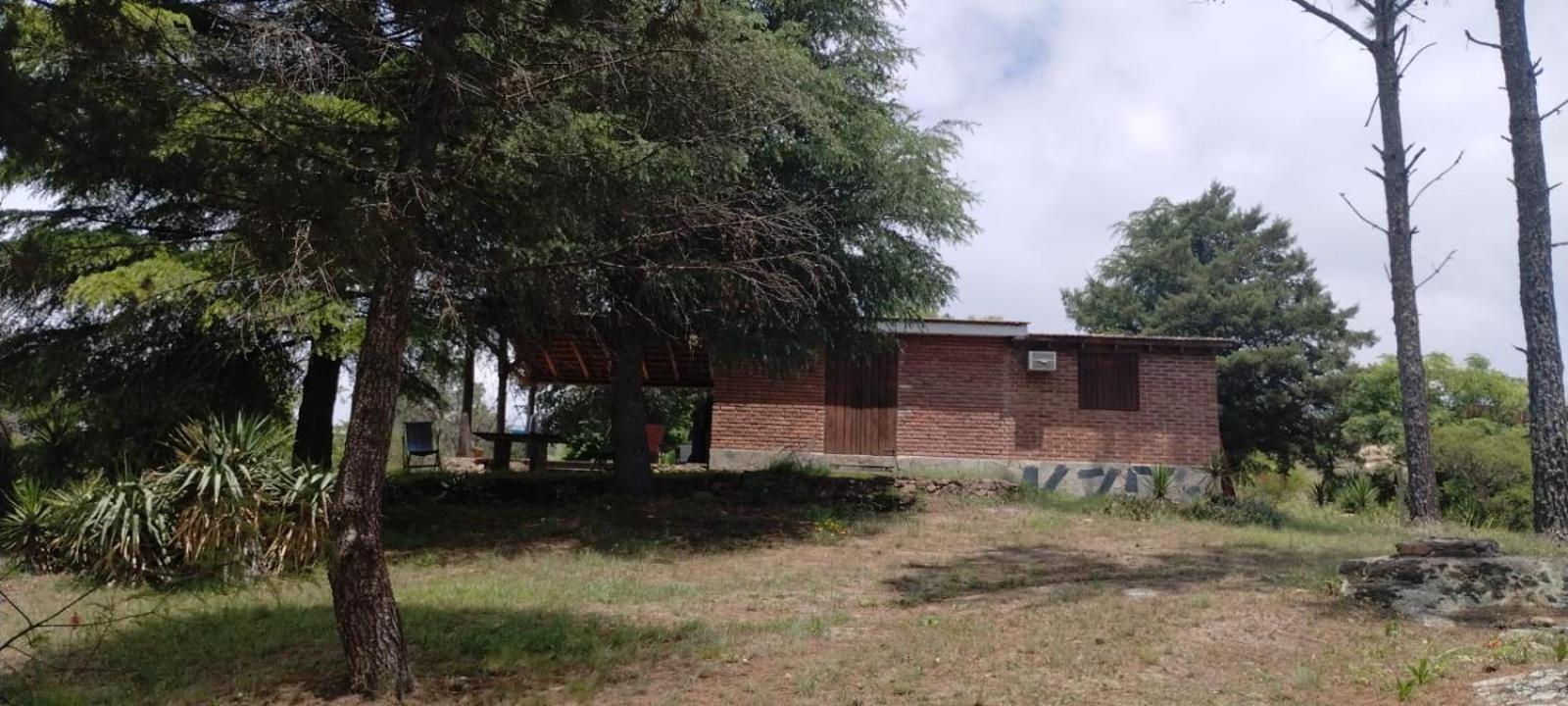 El Campito *