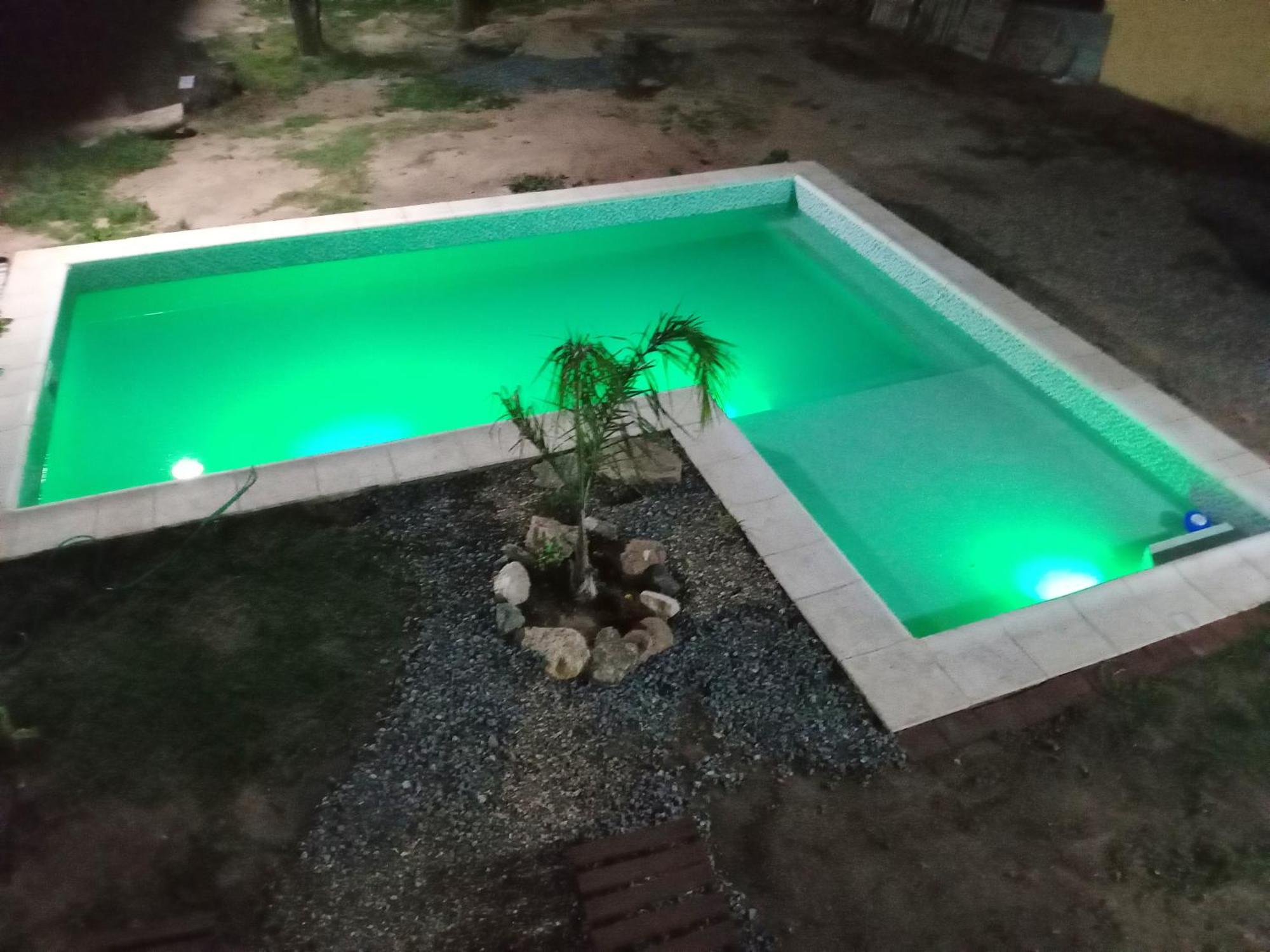 Duplex, Alejandria