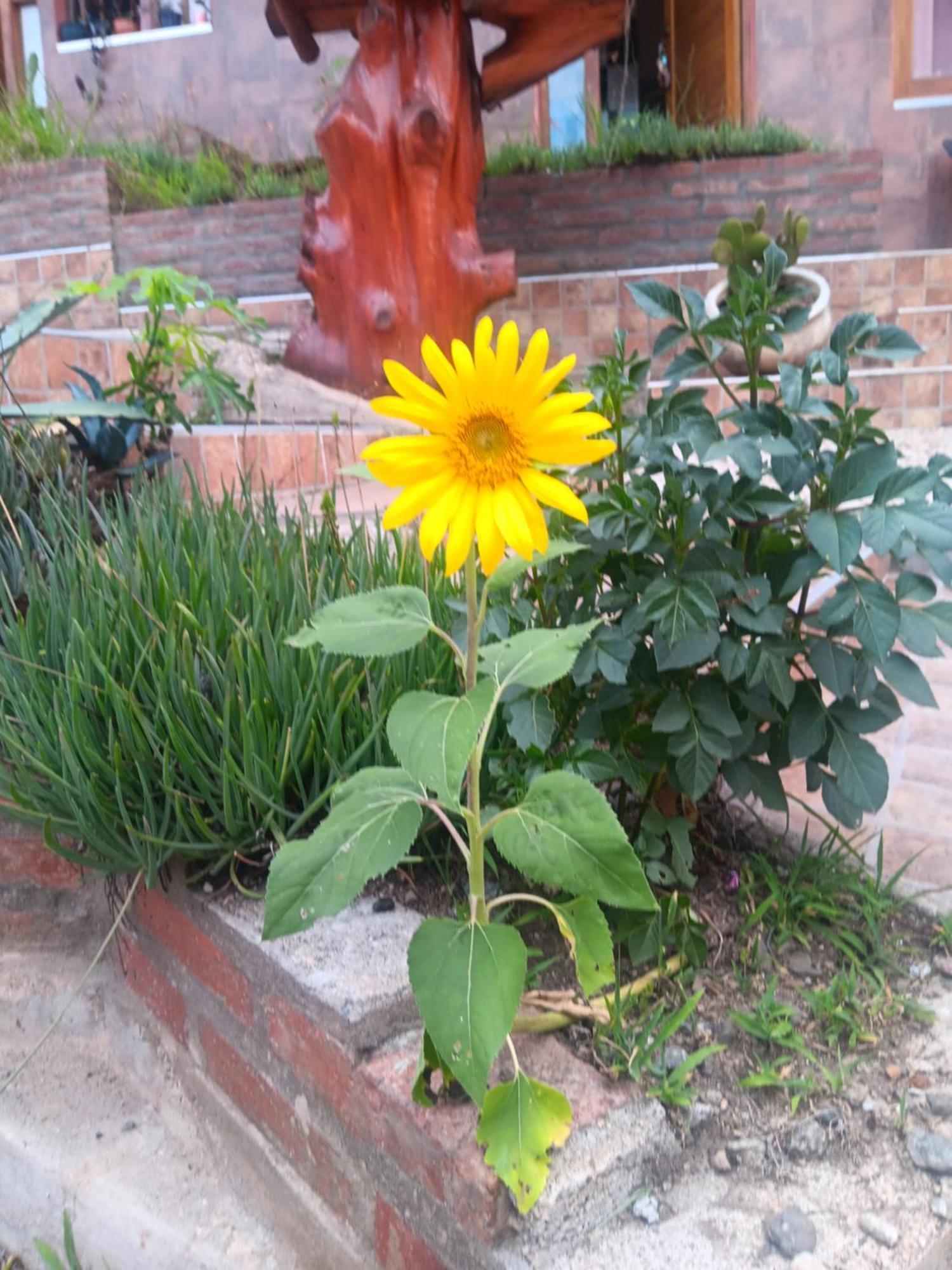 Ohana * Villa Carlos Paz