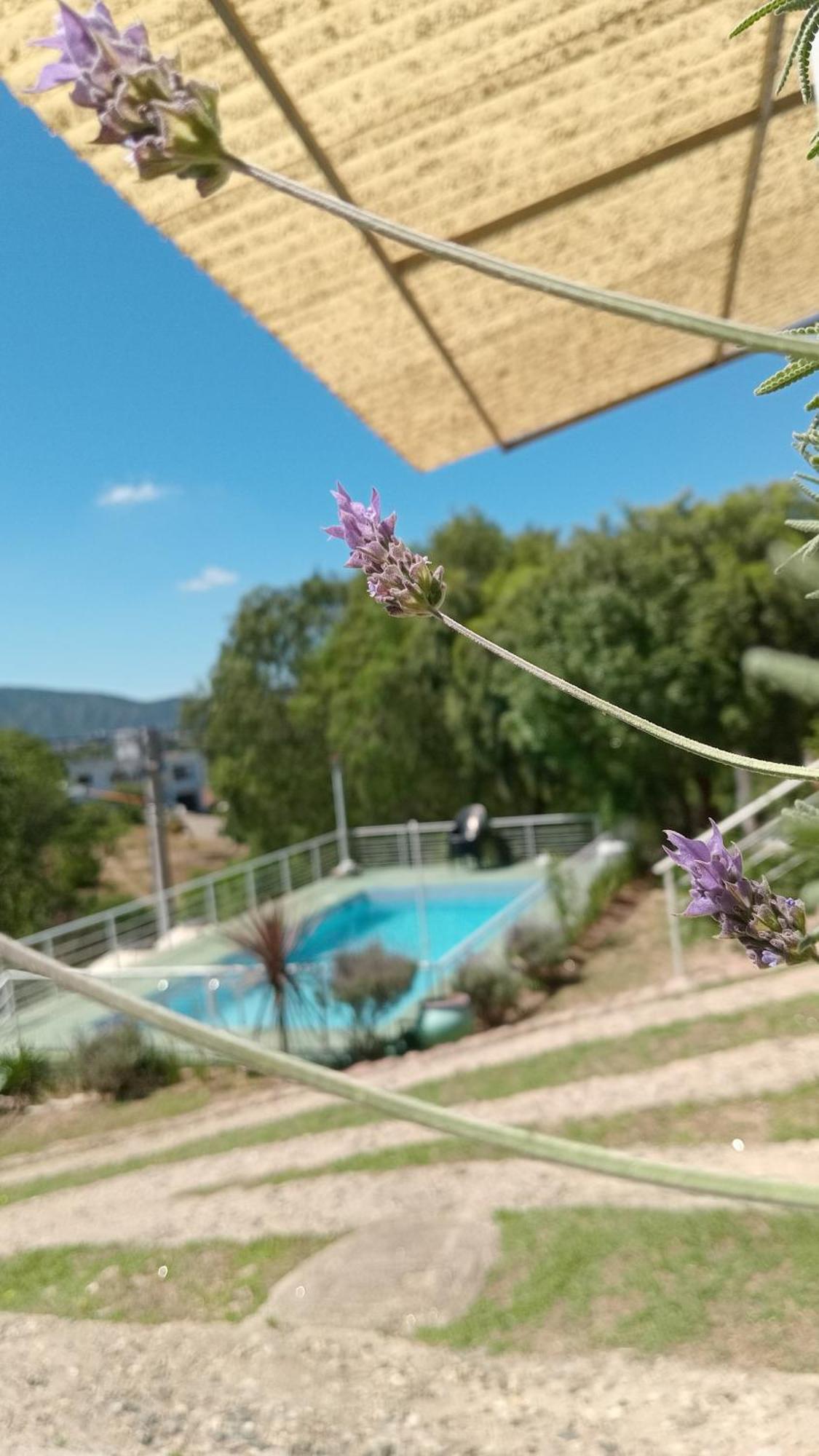 Complejo Casitas De Emma * Villa Carlos Paz