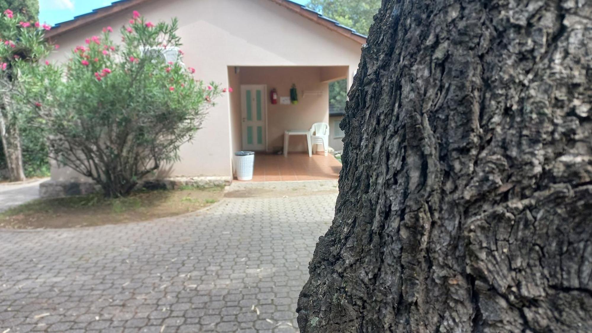 Pinos Aires Del Lago- Con Estilo Apartamento *