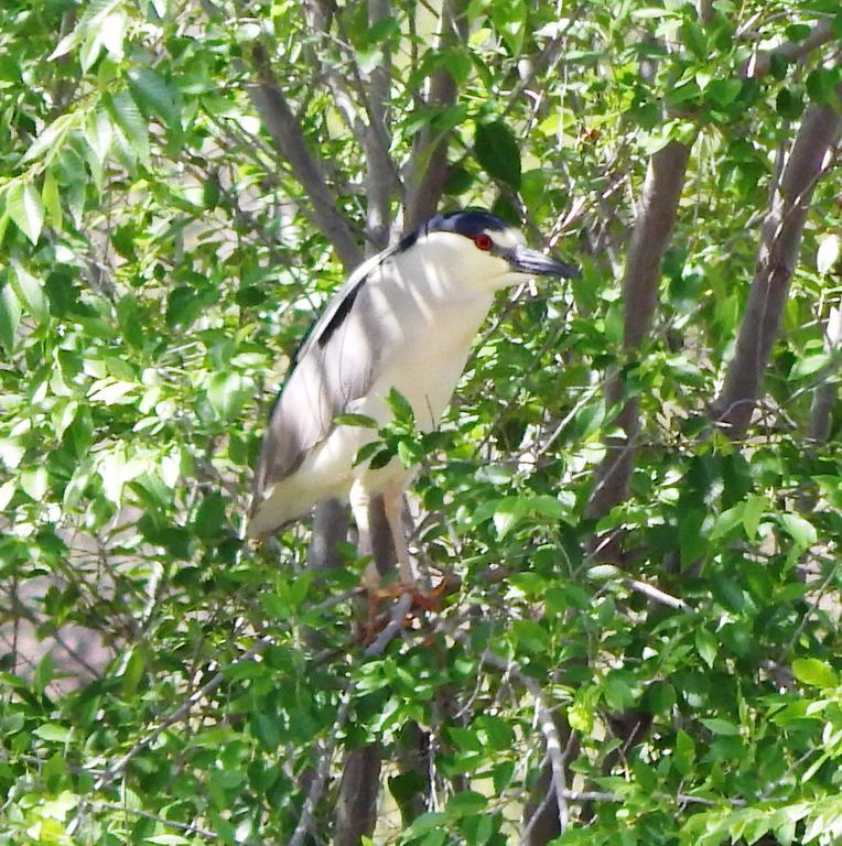 Lodge Morada La Silvestre Caba\u00f1as *