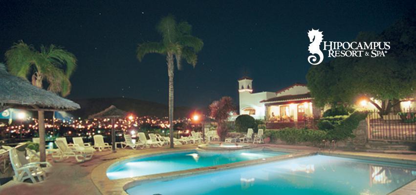 Hipocampus & Hotel 3*