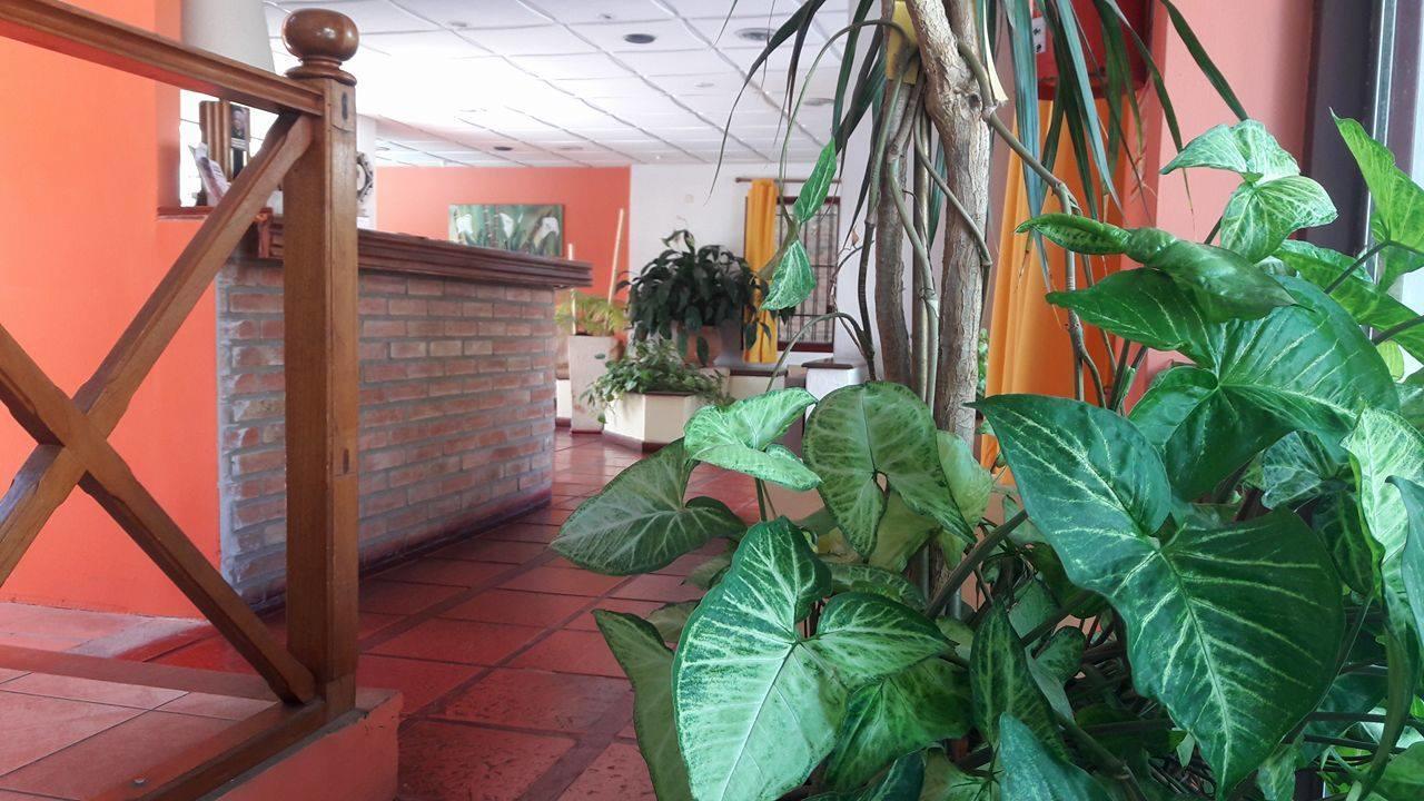 Hotel Jardin Del 2*