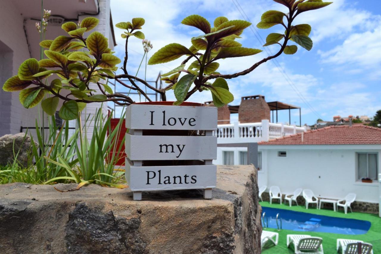 Apartahotel Atenea