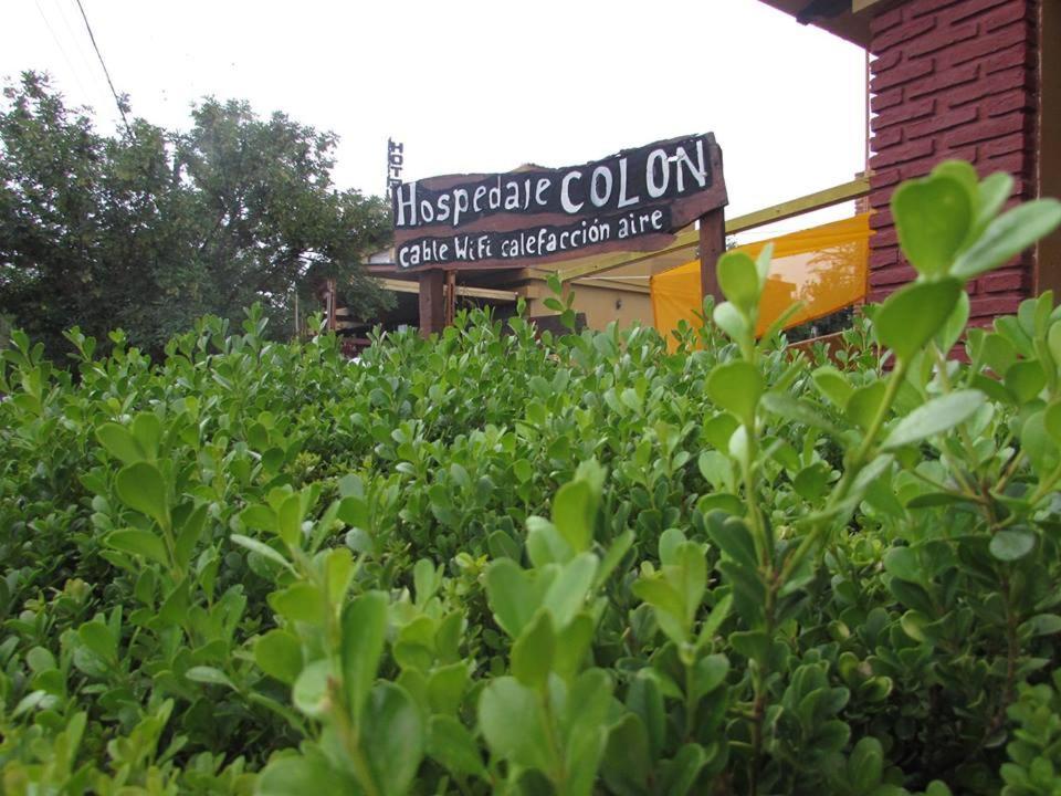 Colon