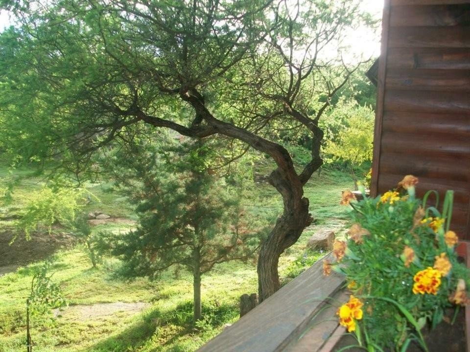 Lodge Cabanas Estancia Vieja *