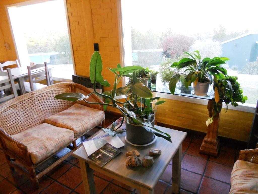 La Loma - Cabañas&suites Lodge