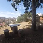 Deptodivino