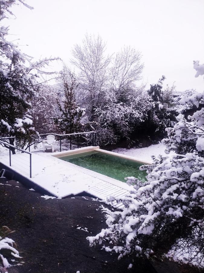 Lodge Paititi *