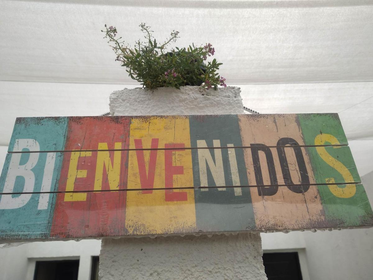 Simion Apartamento
