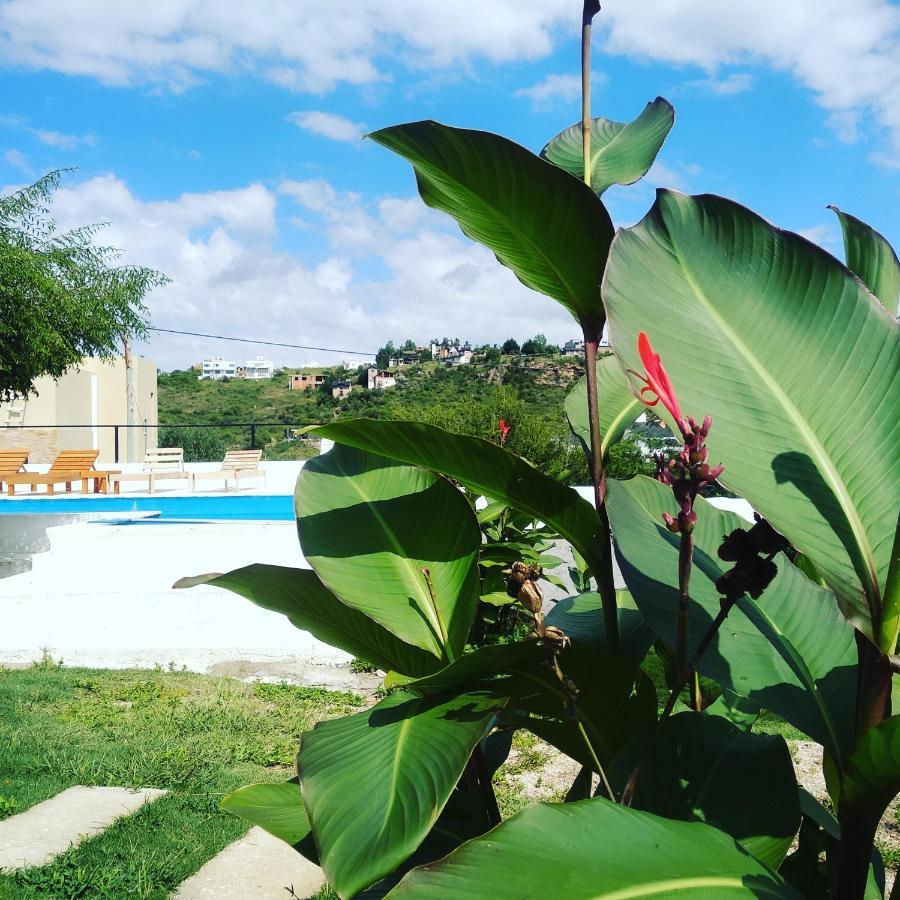 Simion Apartamento
