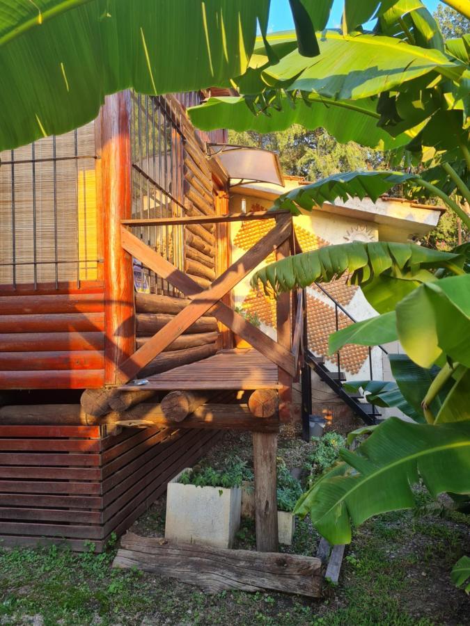 Lodge Alma 2