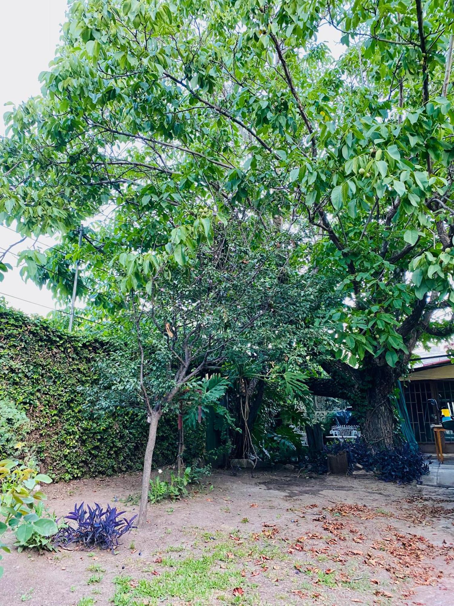 La Casita De La Villa Carlos Paz