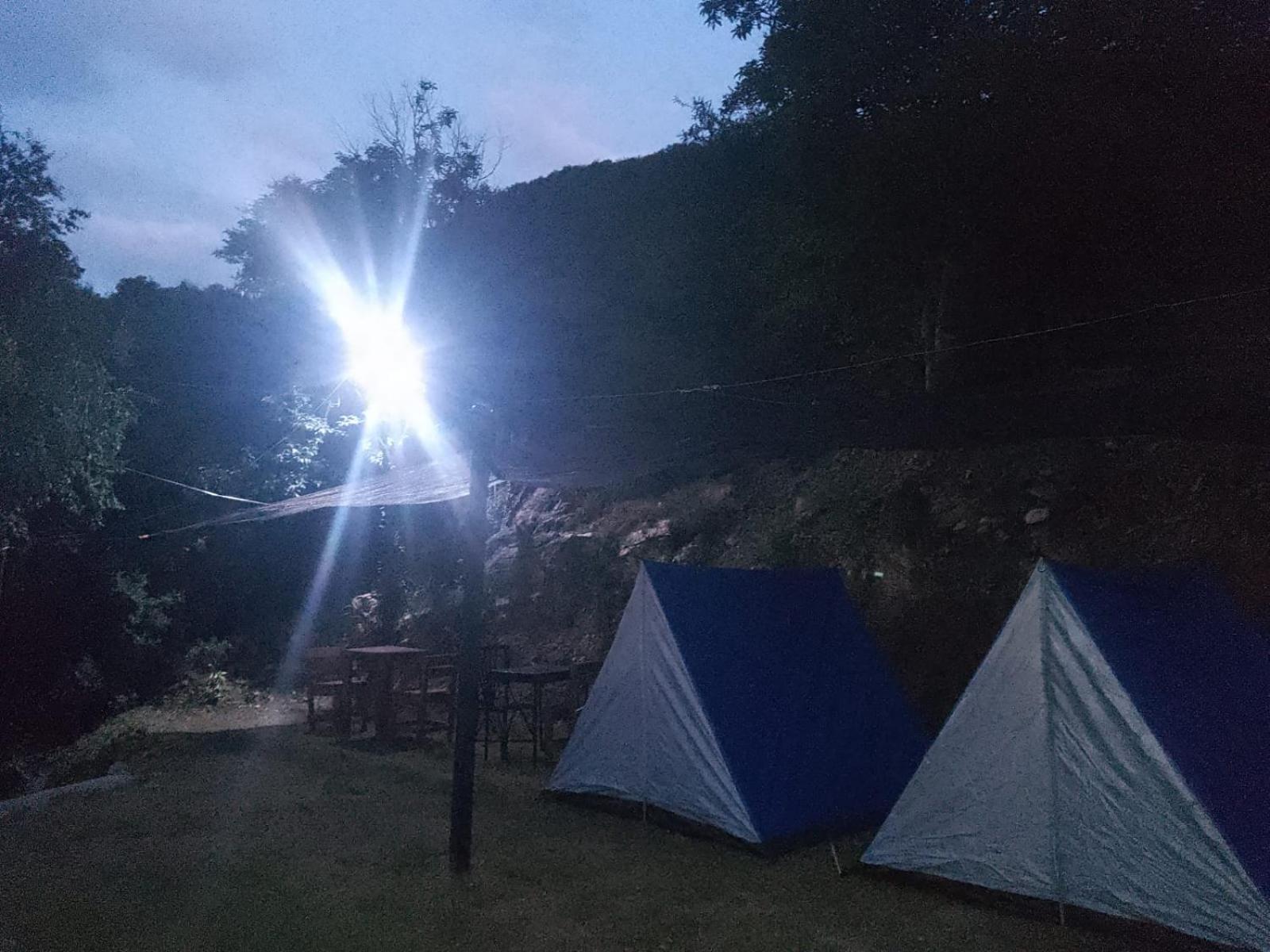 Monarcas Campo de lujo *