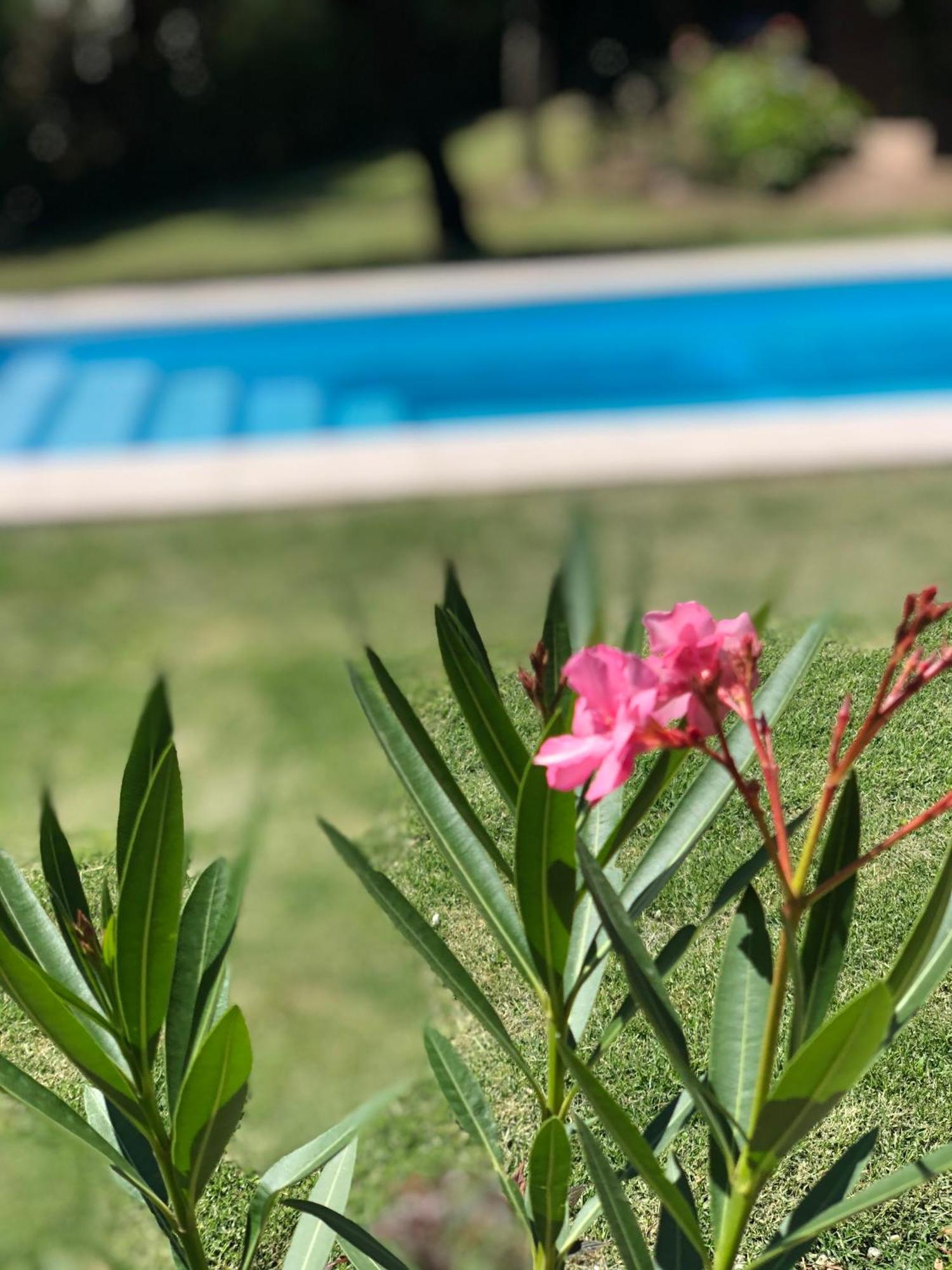 Сasa de vacaciones Casa Frente Al Rio San Antonio Playas De Oro Carlos Paz Villa Carlos Paz