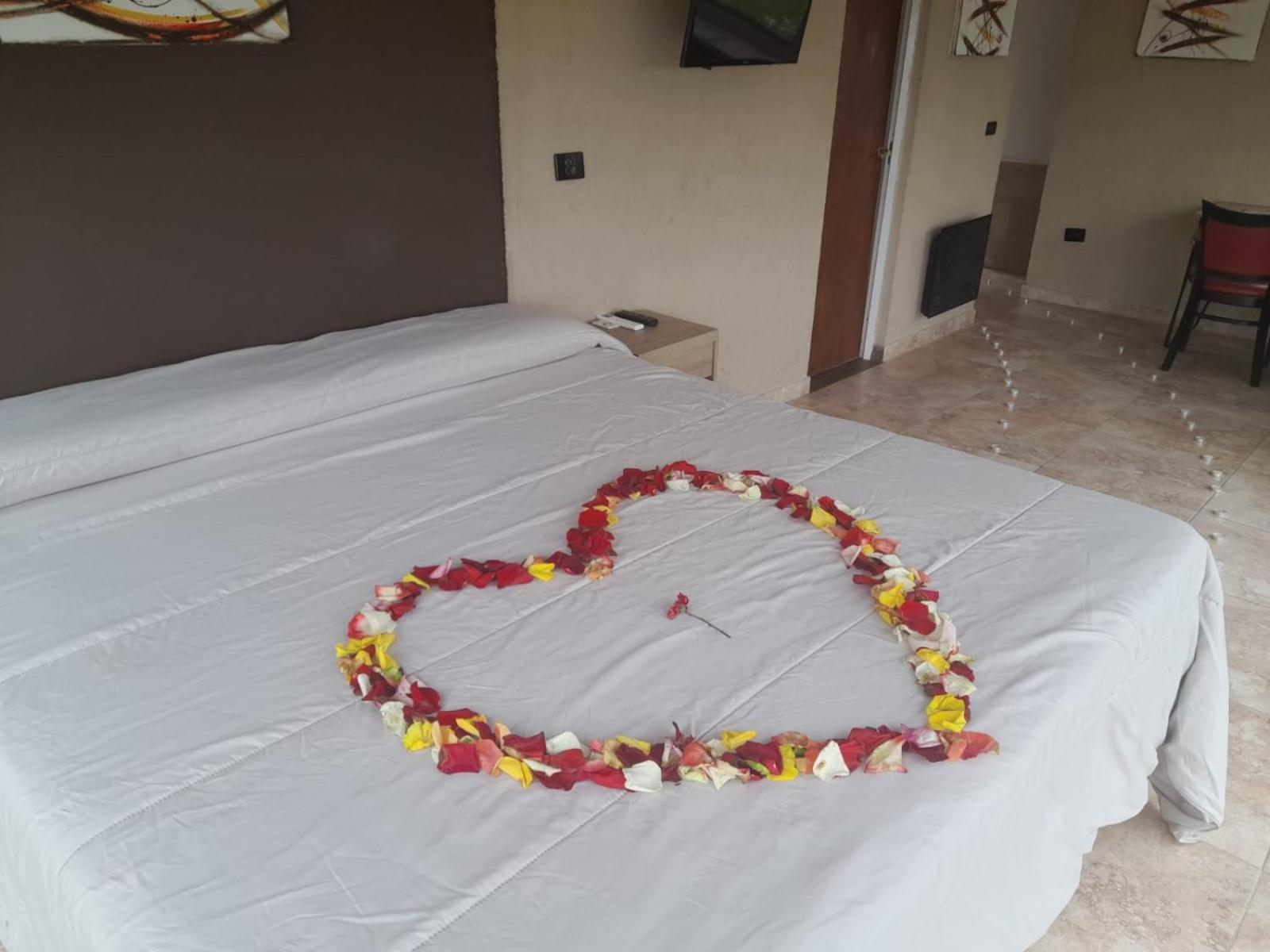Altos Ecodomo Glamping