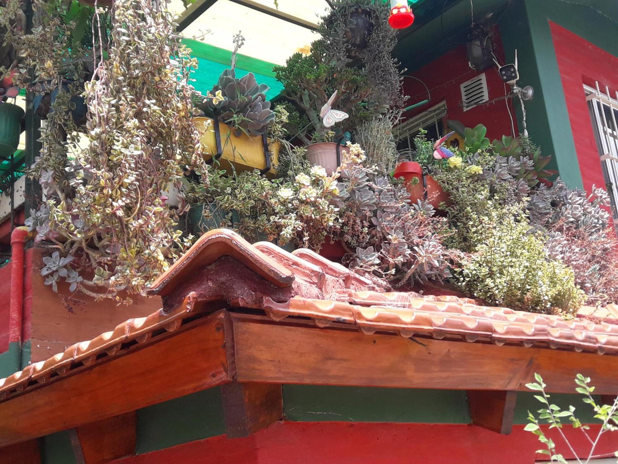 Apartamento El Buho